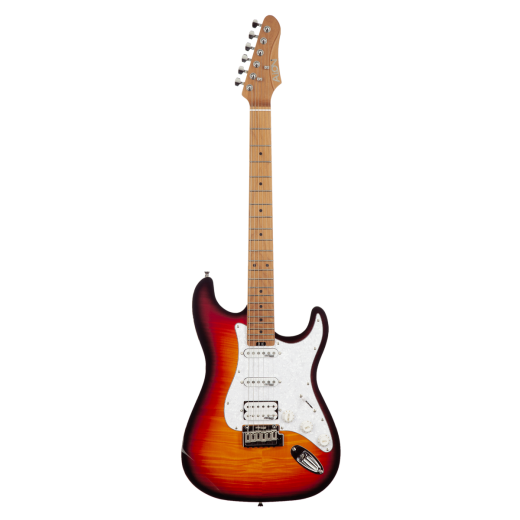 Aion H-10 dark brown burst(1)