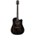 Aion V20M (1)