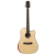 Aion Q20M (1)