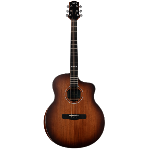 Aion S30M (1)