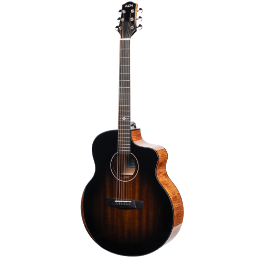 Aion F30 (2)