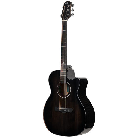 Aion V10M (2)