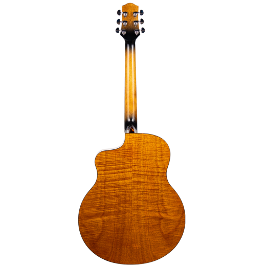 Aion F30 (3)